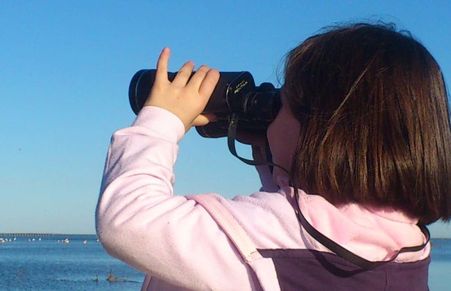 Fangar Bay Tour - Photo 1