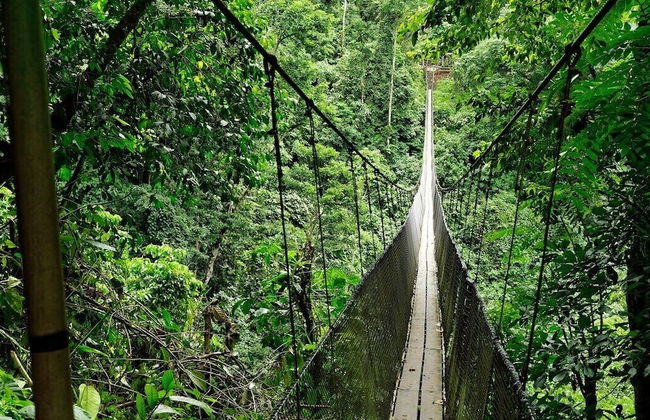 Pura Natura Lodge Arroyo - Foto 56