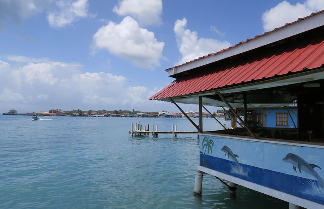 Kevin Condos - Foto 30