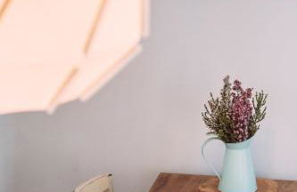 Ponta Branca Beach House - Foto 13