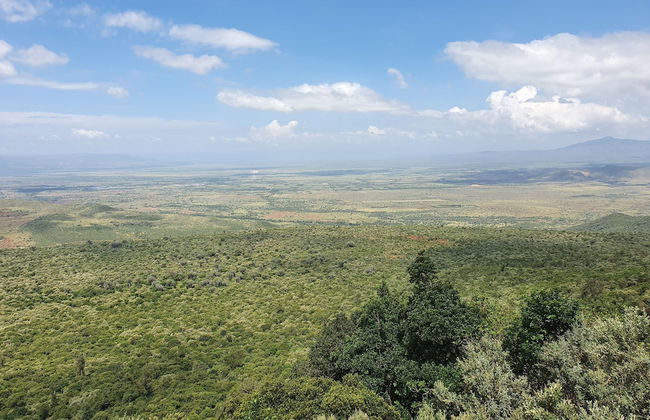 Achill Houses - Foto 35