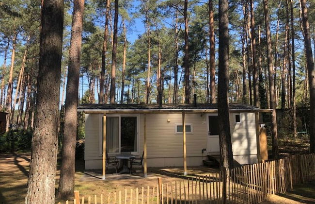 Chalet With Garden in Antwerp Kempen - Foto 20