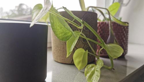 Apartment Maiglöckchen - Foto 5