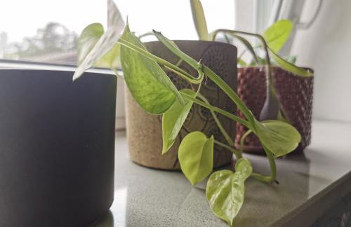 Apartment Maiglöckchen - Foto 5