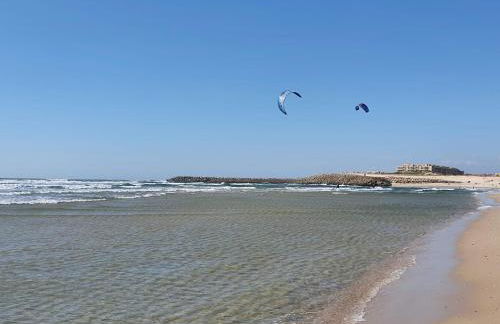 The Palm House - Foto 38