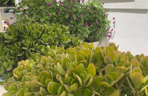 Rodia Studios & Apartments - Foto 25