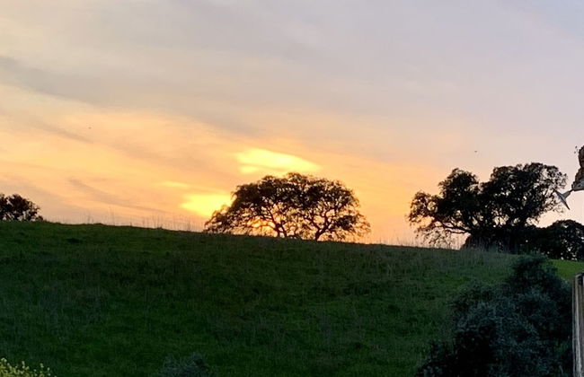 Casa Amador, Charming 2 Bedrooms House in Alcácer - Foto 24