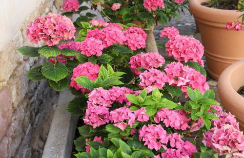 Luxus-Apartment im Sternenhof - Foto 28