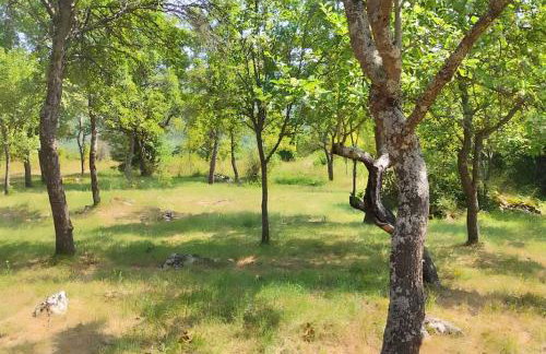 Kuca za odmor Lipa - Foto 15