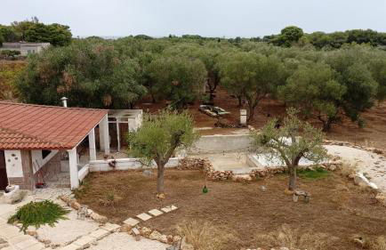 Tenuta L'uliveto - Foto 15