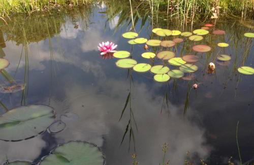 Ferienwohnung Zimmermann - Foto 37