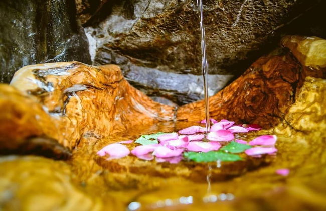 Ellafos Traditional Living - Foto 28