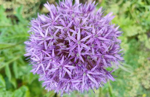 Webers Ferienwohnungen - Foto 26