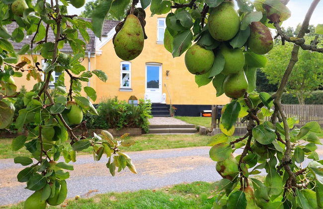 Grand Holiday Home in SÃ¸by Ã†rÃ¸ near Golf Course - Foto 22