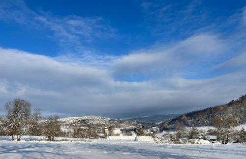 Dom Pod Dębem Agroturystyka - Foto 64