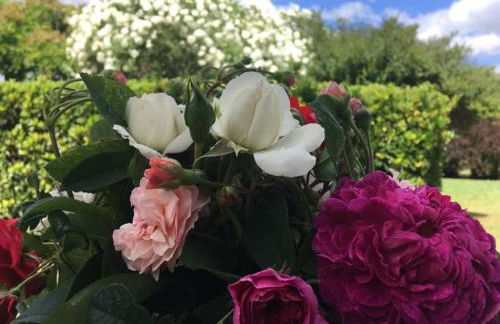 Casale Eredità - Foto 47