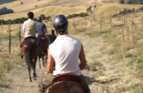 Grove Cottage: Immersed in nature & close to town - Photo 21