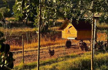 Viva! Farmhouse - Foto 39