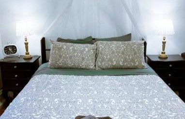 (53.1S) Forest Park, The Zoo, and much more - Foto 15