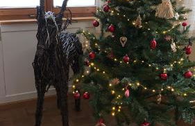 Angelas Ferienwohnungen Oberstaufen - Foto 56