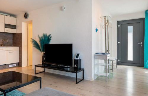 Blauer Seestern - Foto 13