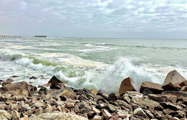 The Pearls Beach Pods - Foto 35