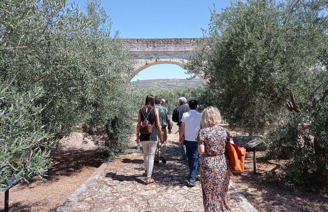 Visita guidata del Museo dell'Ulivo + Degustazione - Foto 5