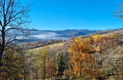 La MARQUAIRERIE - Foto 14