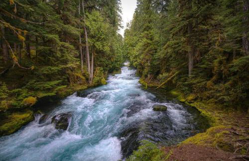 Ferienwohnung am Seebach´l - Foto 11