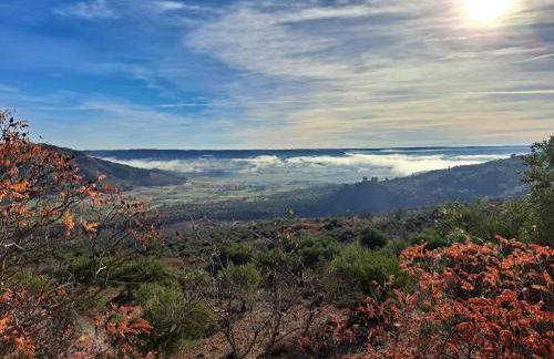 Casa Rural LA BODEGA - Foto 74