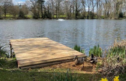 Lakes and woodlands hiking Overstone Holiday Park - Foto 89