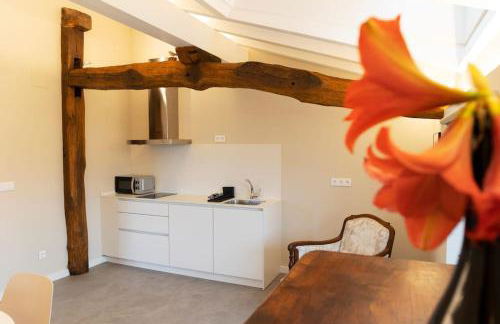 Apartamentos en Baztan HIRU KABI, HIGA - Foto 14