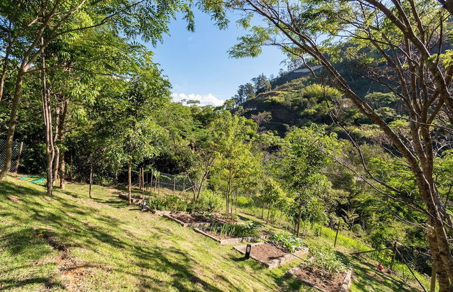 Santa Serra Itaipava - Foto 5