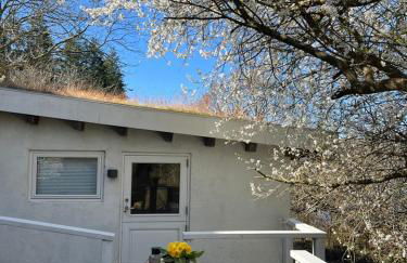 foresthaus - Foto 33