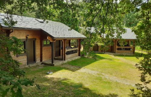 La Albarina - Foto 15