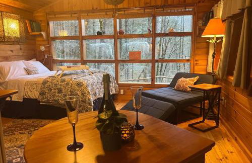 Private Mtn Love Shack w/ fast wifi, BBQ & view - Foto 44