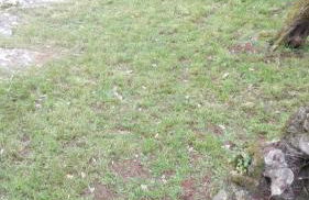 Villa Santo Antonio - Foto 26