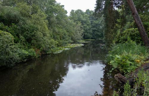 Pinecroft Barn - Relax & Unwind! - Foto 15