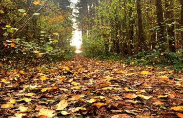 Apartament Kalimera - Foto 68