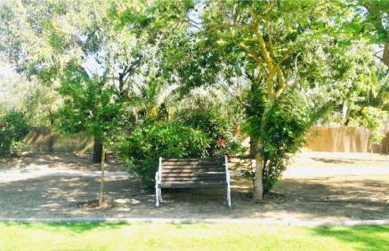 Port D'Andratx Family House, Swimming Pool & Jacuzzi 10-22 people - Foto 73