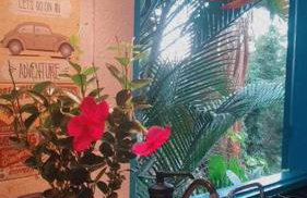 Casa Ilhabela a cinco minutos do centro - Foto 26