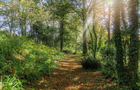 East Dene Estate - Foto 32