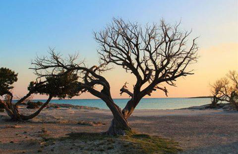 Elafonisi Vacation Blue Apartment - Foto 33