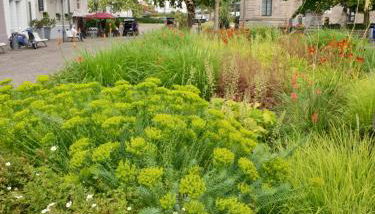 Sophienstrasse Appartement - Foto 5