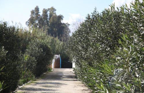 The Dragonfly Retreat - Photo 17