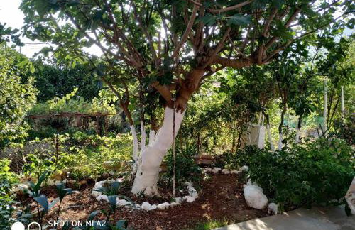 Nona's home - Foto 20