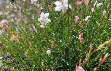 Superbe maison avec jardin - Foto 28