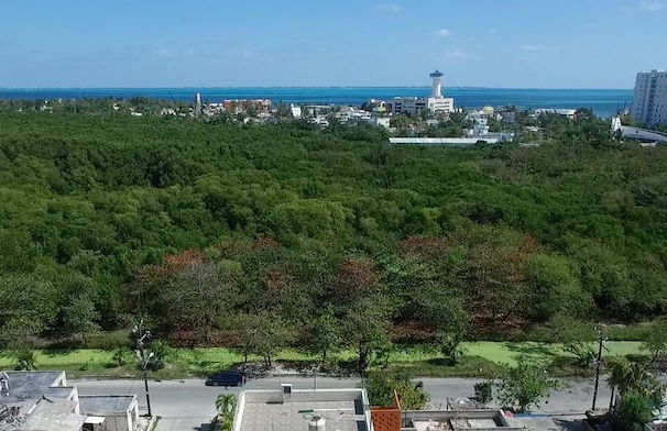 Bahari Cancun - Adults Only - Photo 36