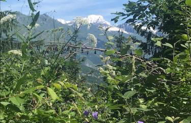 Montchavin Les Côtes vue Mont-Blanc - Foto 20