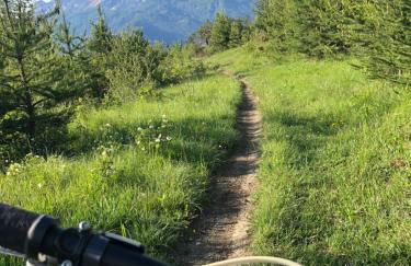 Le Gaudissart 1 - Foto 33